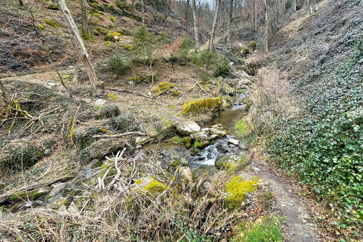 Entlang und über den Sagbach; Sagbachrunde Richtung Koglerau. Fotos: Eva Maria Ginal