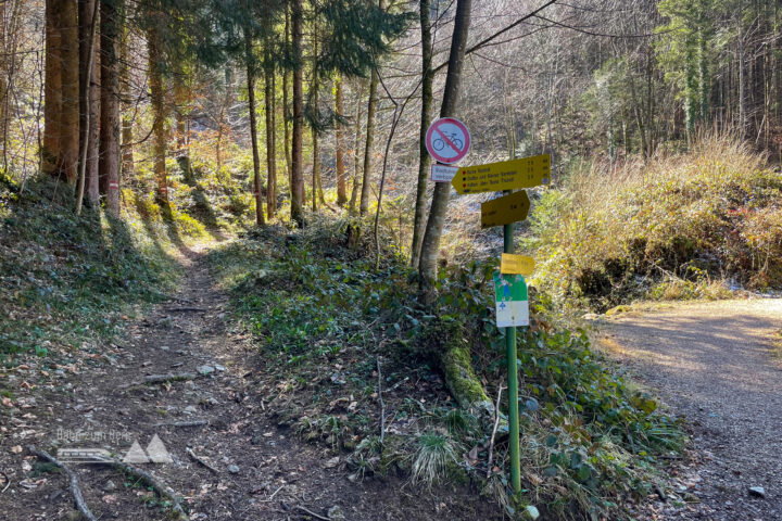 Fotos: Eva Maria Ginal