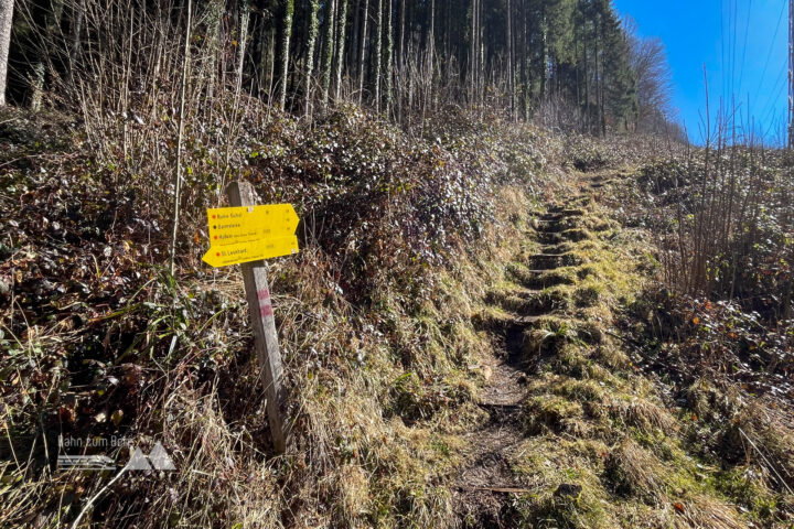 Fotos: Eva Maria Ginal