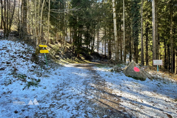 Fotos: Eva Maria Ginal