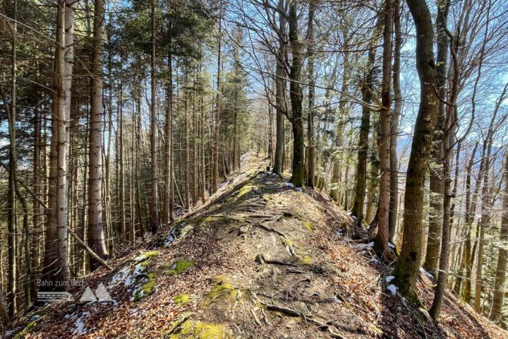 Fotos: Eva Maria Ginal