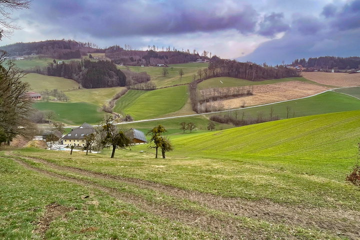 Blick vom Dürnberg auf Ottensheim bis zum Donaukraftwerk. Foto: Eva Maria Ginal