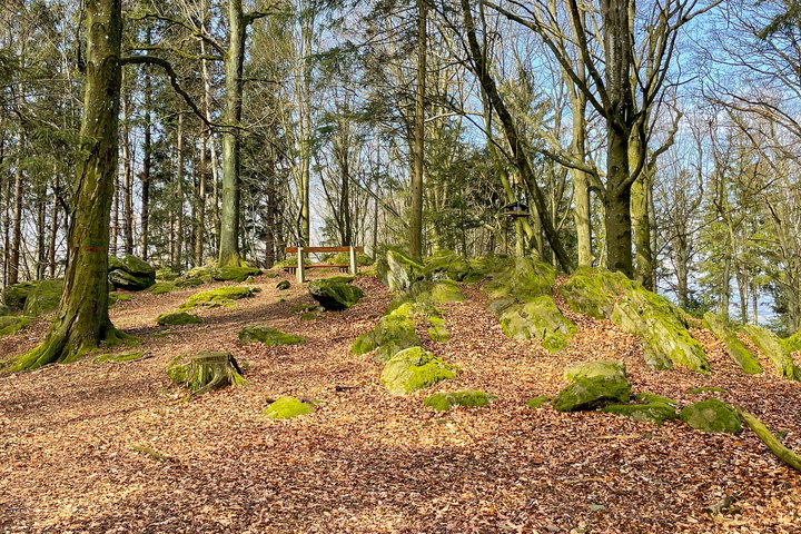 Foto: Eva Maria Ginal