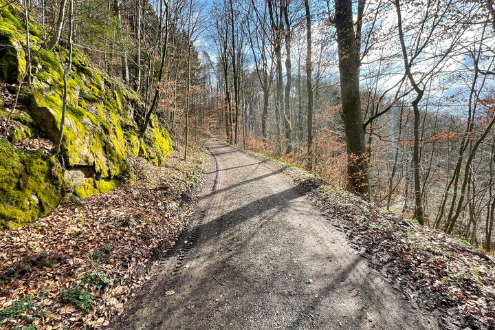 Forststraße nahe dem Pöstlingberg; Pöstlingbergkirche. Fotos: Eva Maria Ginal