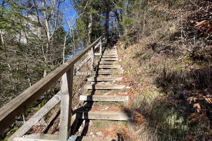 Fotos: Eva Maria Ginal