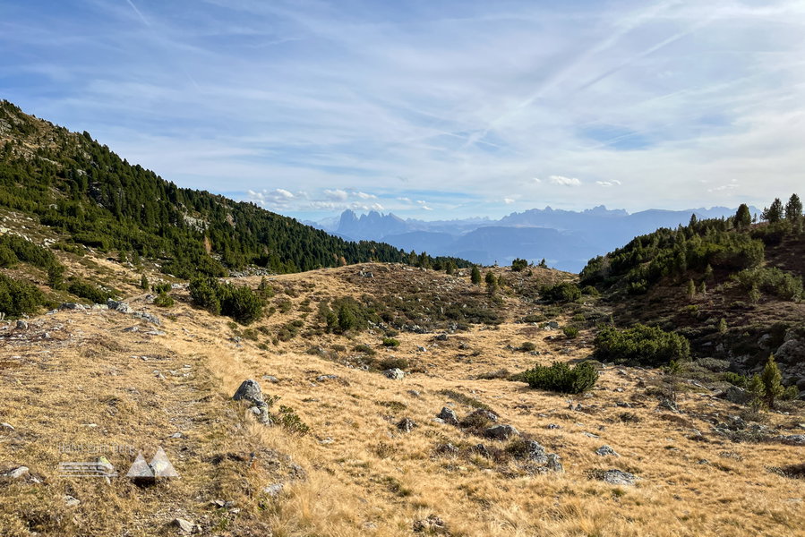 Ausblick. Foto: Bernhard Walle