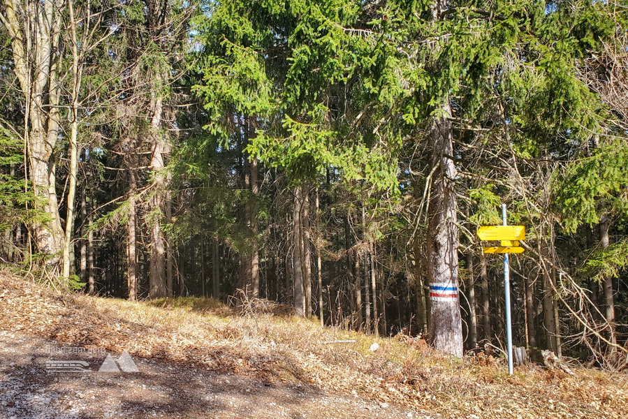 Farbwechsel – ich folge dem Wegweiser nach links (bergauf) und der blauen Markierung. Foto: Linda Prähauser
