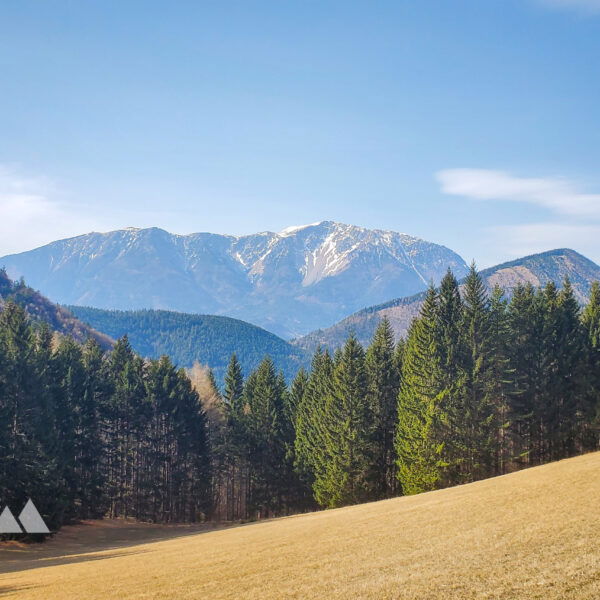 Weil man nicht genug vom Schneeberg haben kann, gibt es hier nochmal einen Blick von der Kaiserebene. Foto: Linda Prähauser