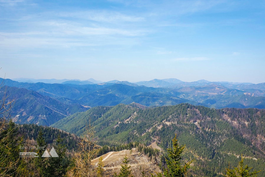 Einer der vielen Ausblicke Richtung Gutensteiner Alpen. Foto: Linda Prähauser