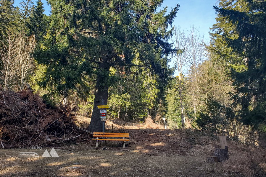 Nach dem Aufstieg geht es bei der Bank nach rechts auf den Waldweg – hier ist Puchberg bereits angeschrieben. Foto: Linda Prähauser