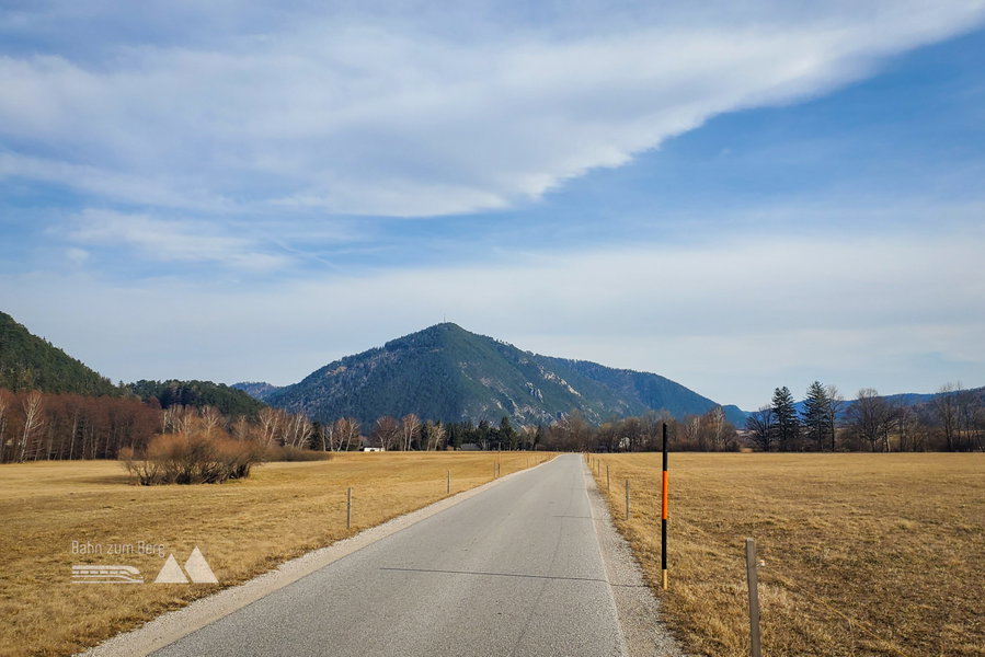 Entlang der asphaltierten Straße durch Felder mit der Sonne um Rücken. Foto: Linda Prähauser