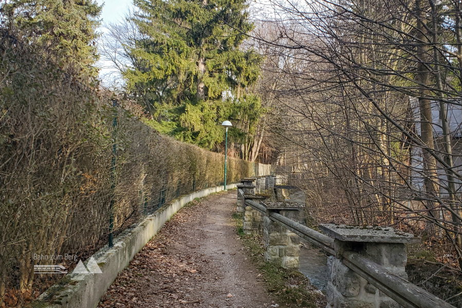 Die letzten Meter zum Bahnhof auf dem Trampelpfad  in Puchberg. Foto: Linda Prähauser