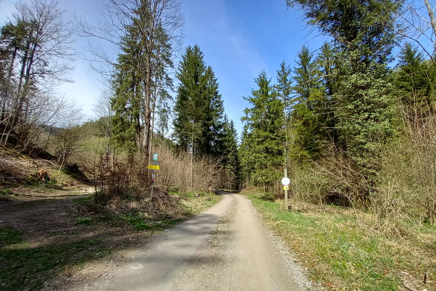 Den Mühlbachgraben hinein. Foto: Martina Friesenbichler