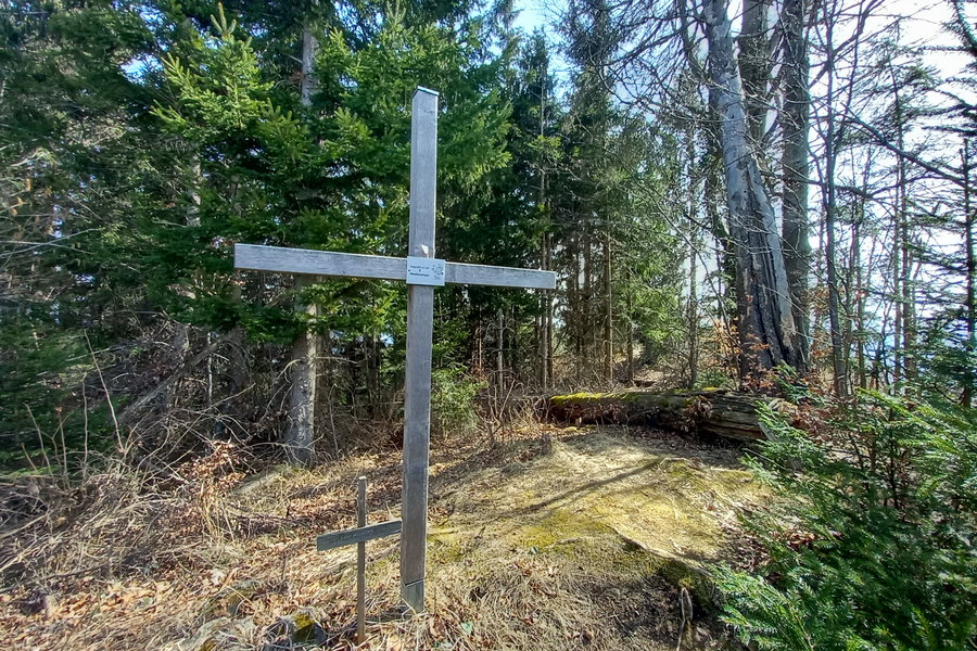 Mühlbacherkogel (1.050 Meter). Foto: Martina Friesenbichler