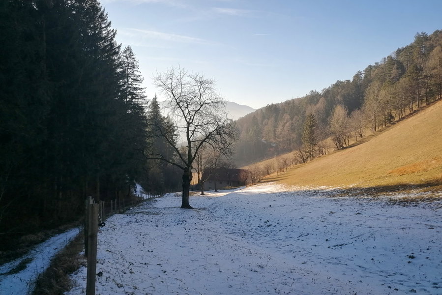 Abstieg runter nach Werning. Foto: Sarah Pallauf