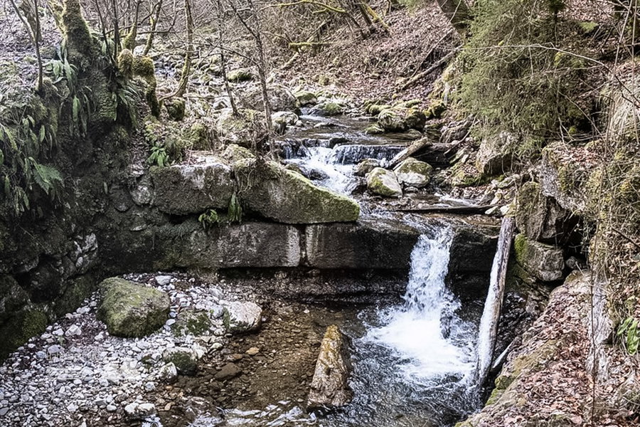 Am Wendbach. Foto: Birgit Reiter