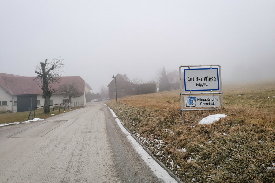Auch auf der Wiese ist es neblig. Foto: Sarah Pallauf