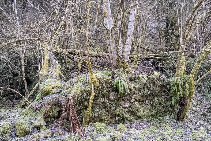 Das Wendbachtal war einmal. Foto: Birgit Reiter