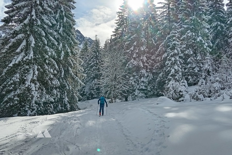 Erneuter Aufstieg Richtung Gemstelpass. Foto: Norman und Lisa
