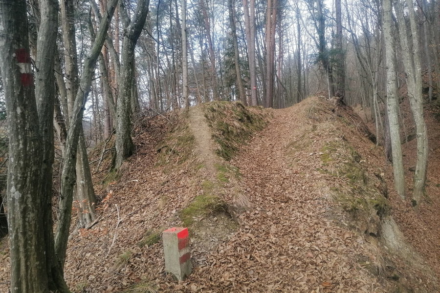 Frühlingskondi auspacken. Foto: Sarah Pallauf