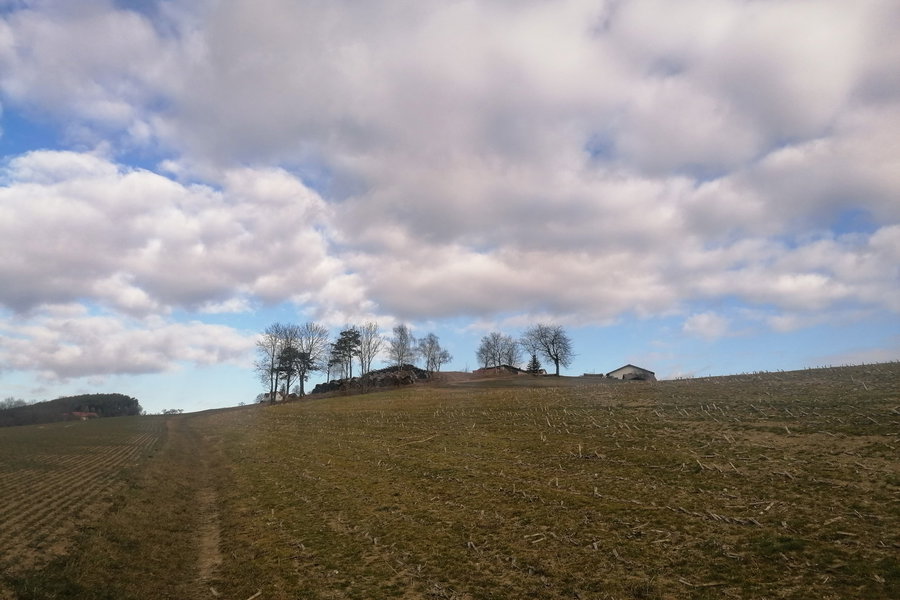 Hallo Sonne, da bist du ja! Foto: Sarah Pallauf