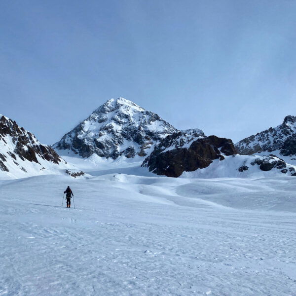 Der Gran Zebru (Köngisspitze) ist mit 3.851 Metern der zweithöchste Gipfel im Ortlergebiet. Foto: Christian Heuegger Zirm