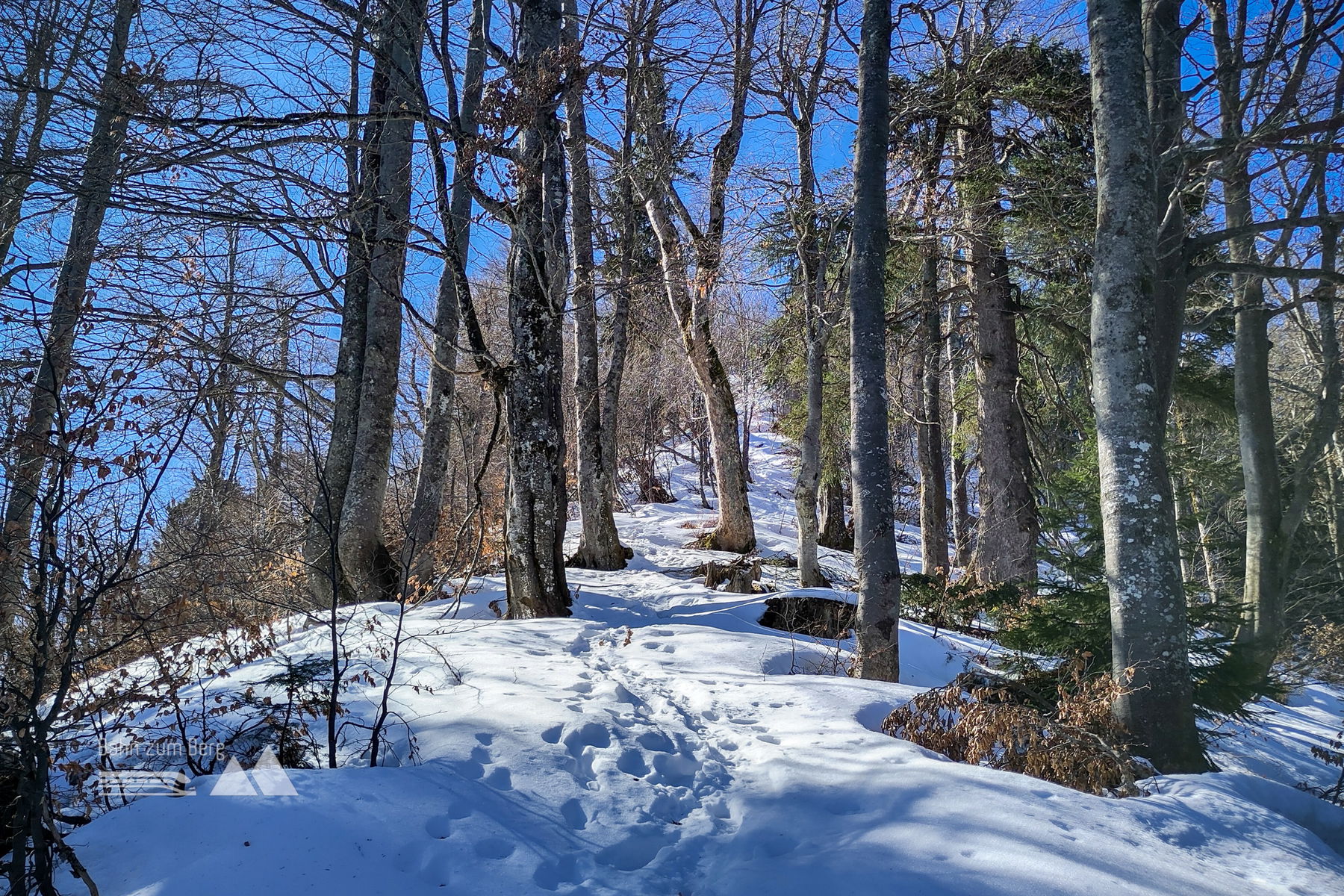 Gespurt - noch 10 Minuten bis zum Gipfel. Foto: Karl Plohovich