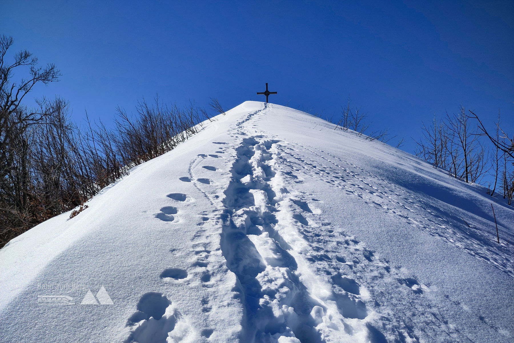 Gute Aussichten in Aussicht. Foto: Karl Plohovich