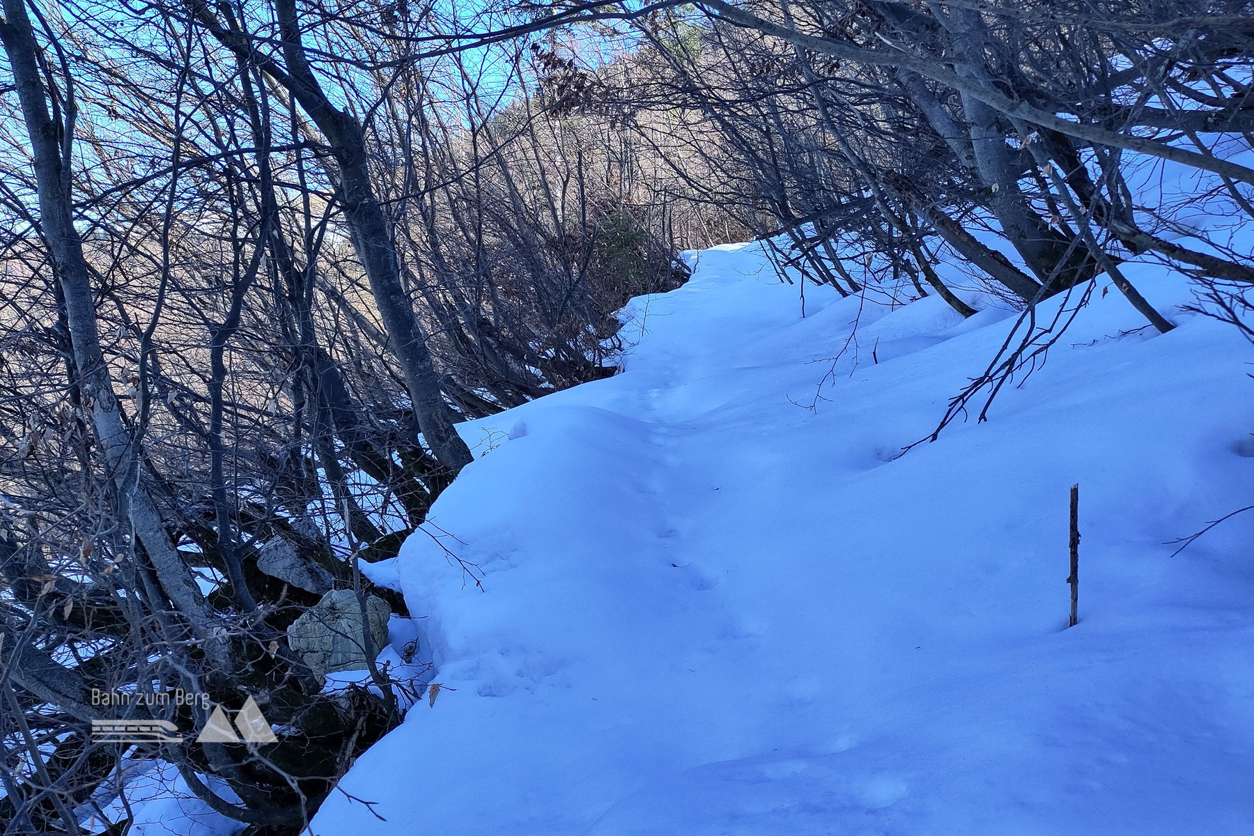Leicht zu finden und recht gut zu gehen. Foto: Karl Plohovich