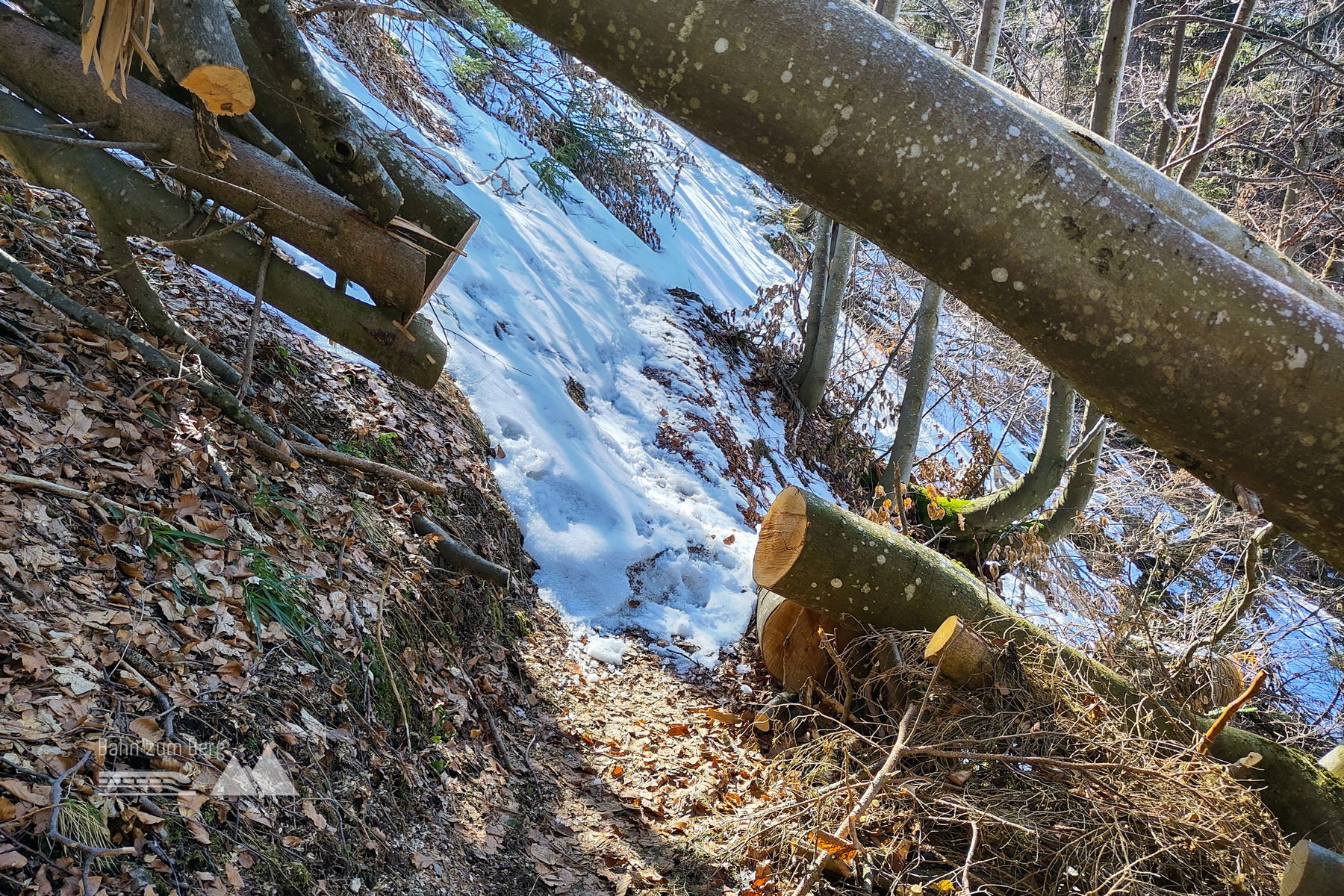 Danke für die Mühe! Einer von mehreren „Torbögen“. Foto: Karl Plohovich