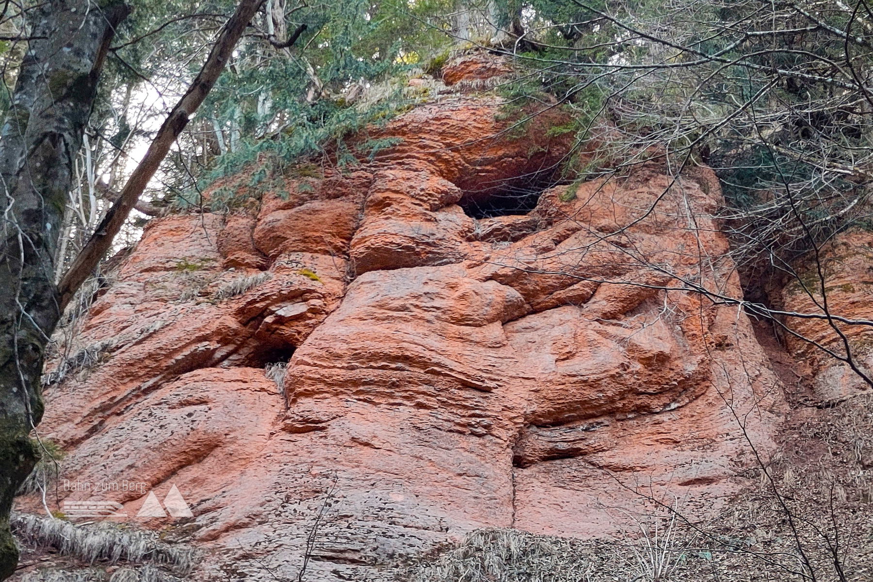 Ein ganz beiläufiges Naturwunder. Foto: Karl Plohovich