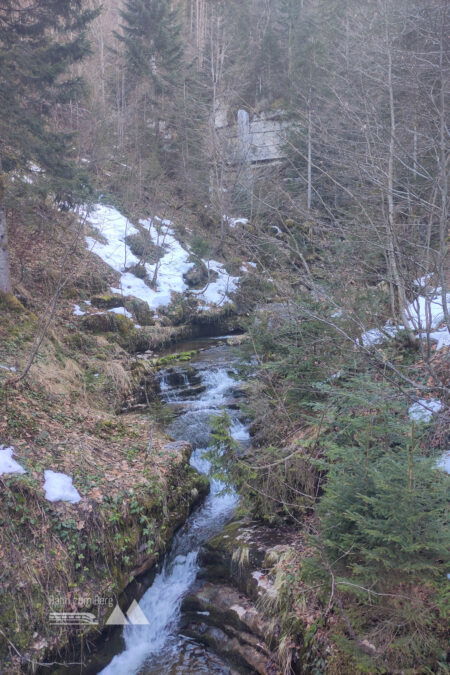 Gruberbach-Wasserfall; Palmkätzchen vor Lämmerbach. Fotos: Karl Plohovich
