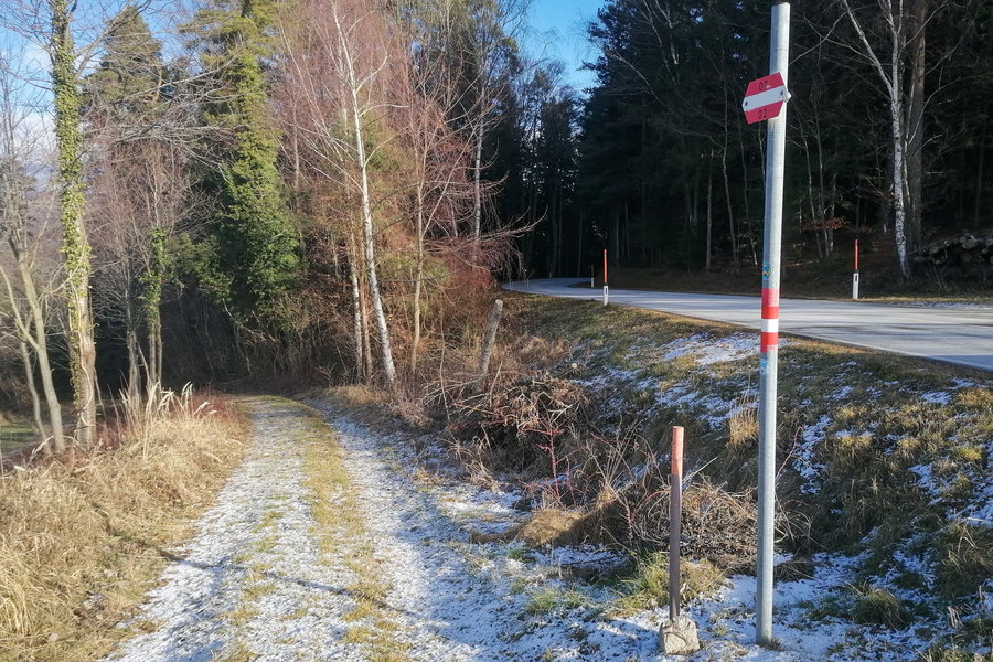 In den Wald runter in Richtung Burgenland und Blumau. Foto: Sarah Pallauf