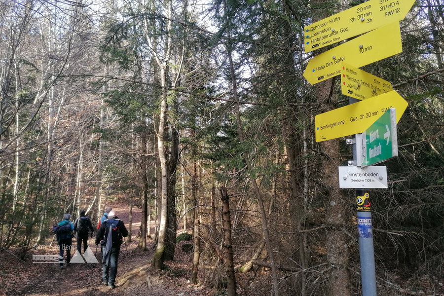 Kurz vorm Gipfel. Foto: Sarah Pallauf