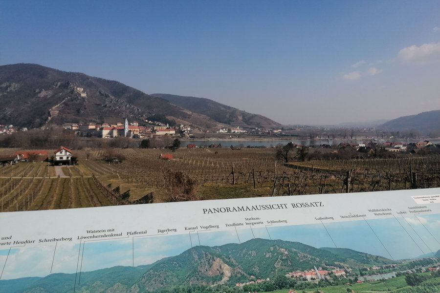 Panoramablick nach Dürnstein rüber. Foto: Sarah Pallauf
