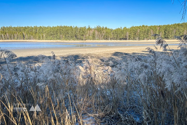 Am Mitterteich. Foto Veronika Schöll