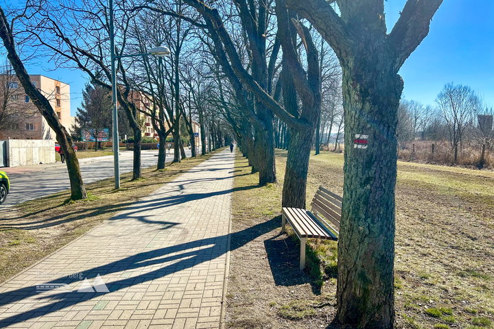 Allee zur Grenze. Fotos Veronika Schöll