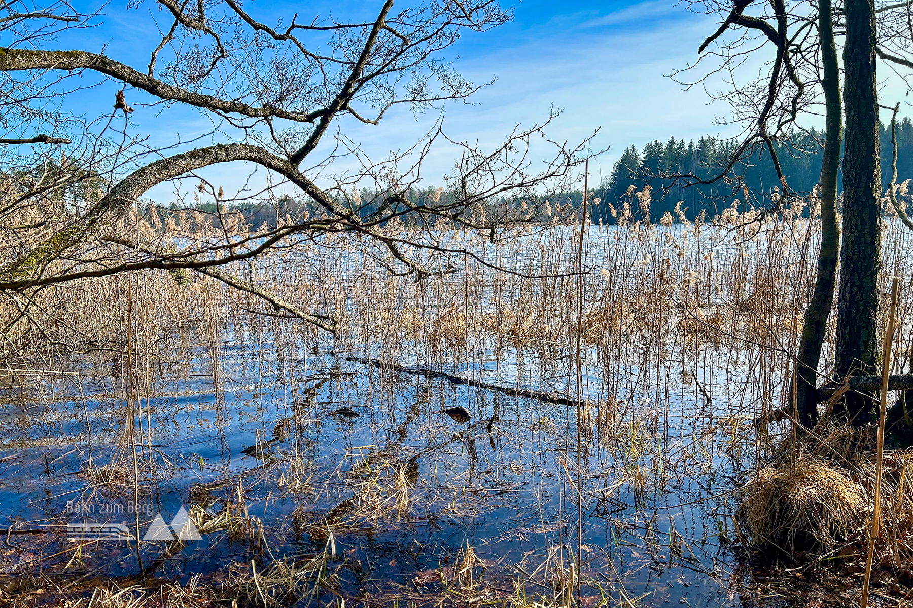 Von Tschechien nach Finnland – und das im Waldviertel