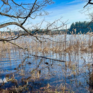 Von Tschechien nach Finnland – und das im Waldviertel