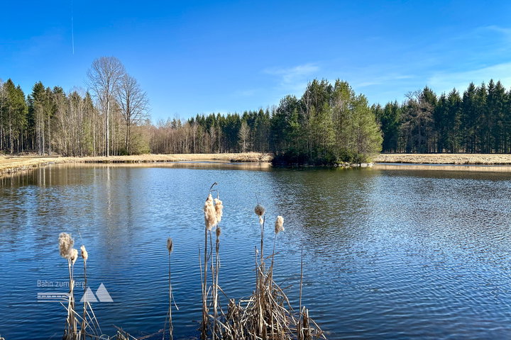 Teichlandschaft zwischen Hoheneich und Pürbach. Fotos Veronika Schöll