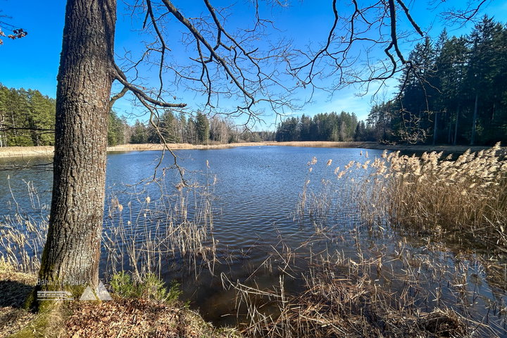 Teichlandschaft zwischen Hoheneich und Pürbach. Fotos Veronika Schöll