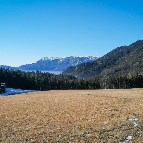 Raxblick von der Gahnshauswiese. Foto: Sarah Pallauf