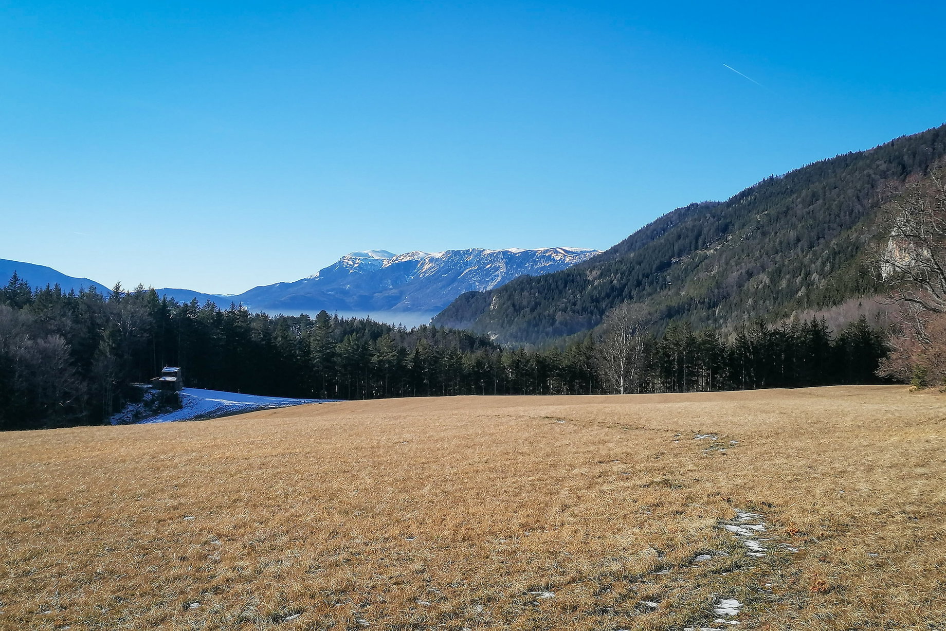 Raxblick von der Gahnshauswiese. Foto: Sarah Pallauf