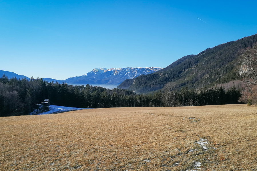 Raxblick von der Gahnshauswiese. Foto: Sarah Pallauf