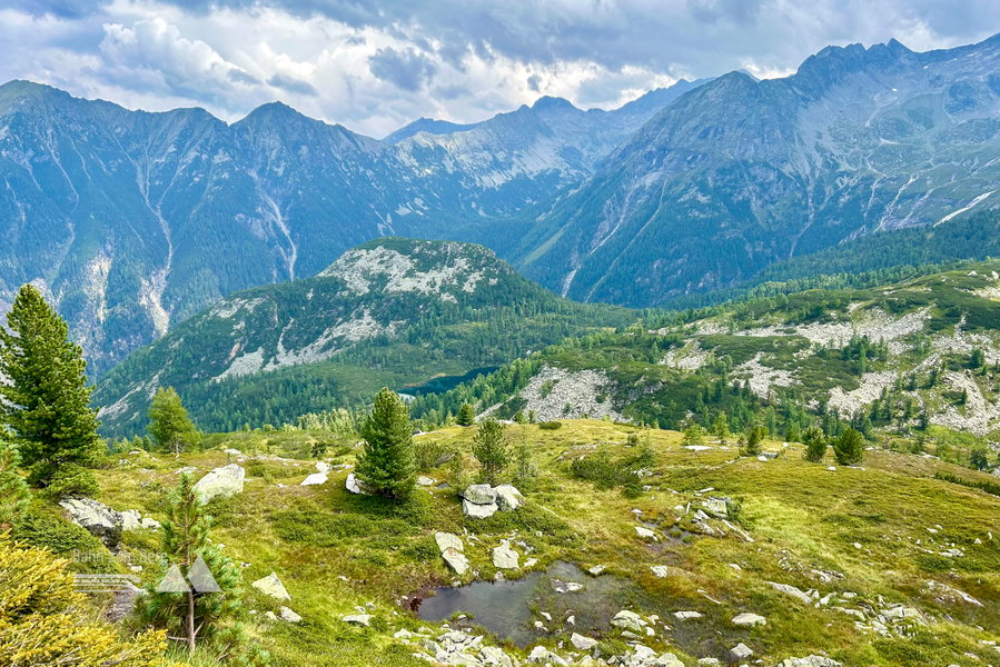 Da unten ist er, der Reedsee. Foto Veronika Schöll