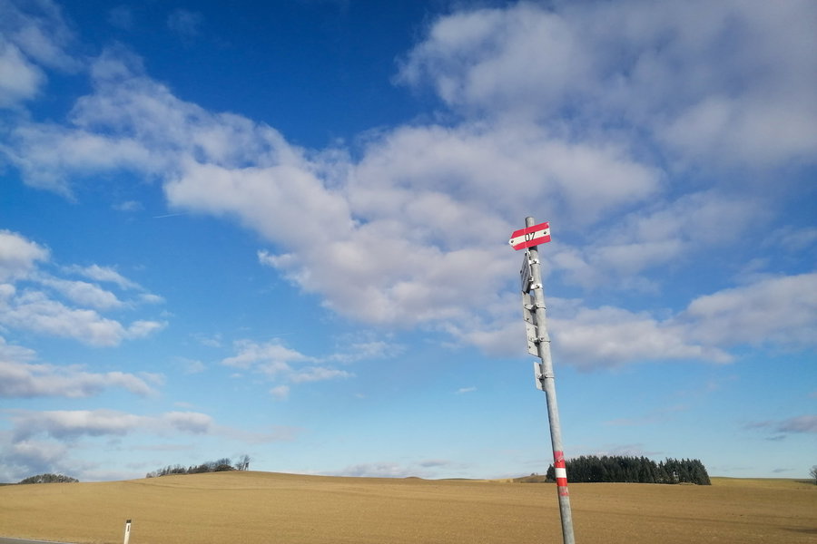 Schöne Ausblicke auf dem Buckel. Foto: Sarah Pallauf