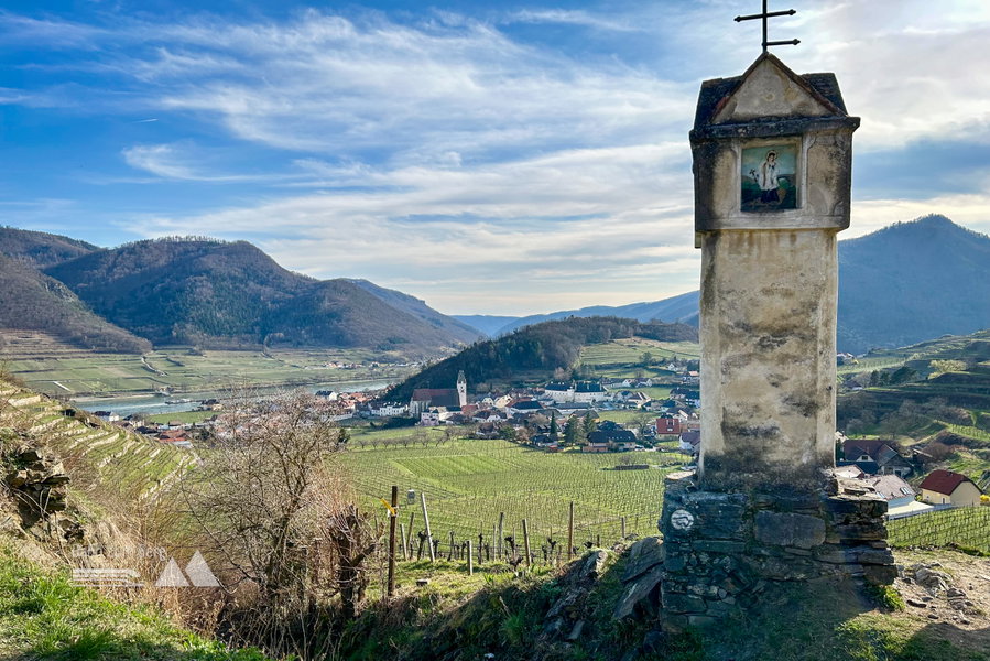 Spitz an der Donau. Foto Veronika Schöll