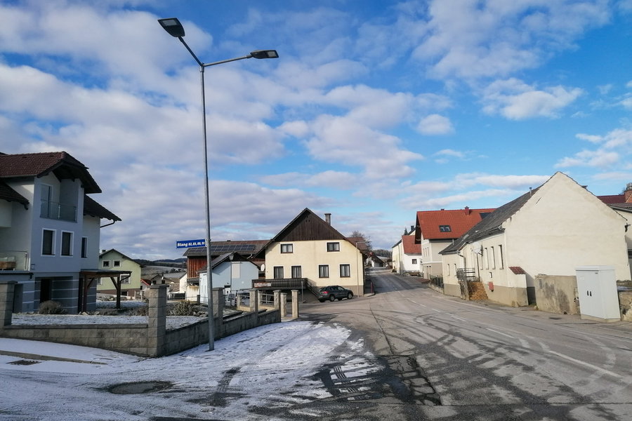 Hallo Stang, hier bin ich! Foto: Sarah Pallauf