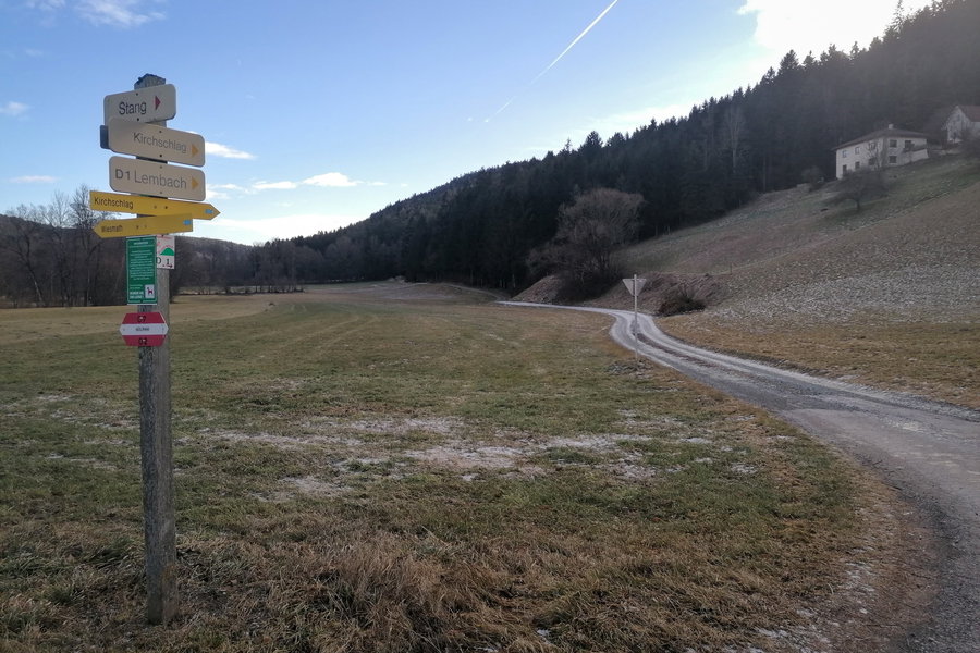 Gleich geht’s wieder bergauf! Foto: Sarah Pallauf