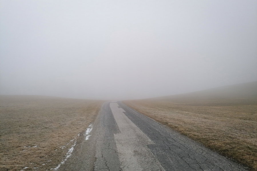 Wo ist hier die Aussicht? Foto: Sarah Pallauf